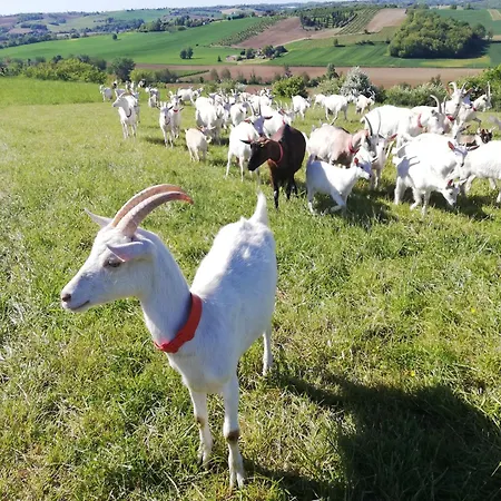 Διαμέρισμα Charmante A La Ferme, A 15 Min De *
